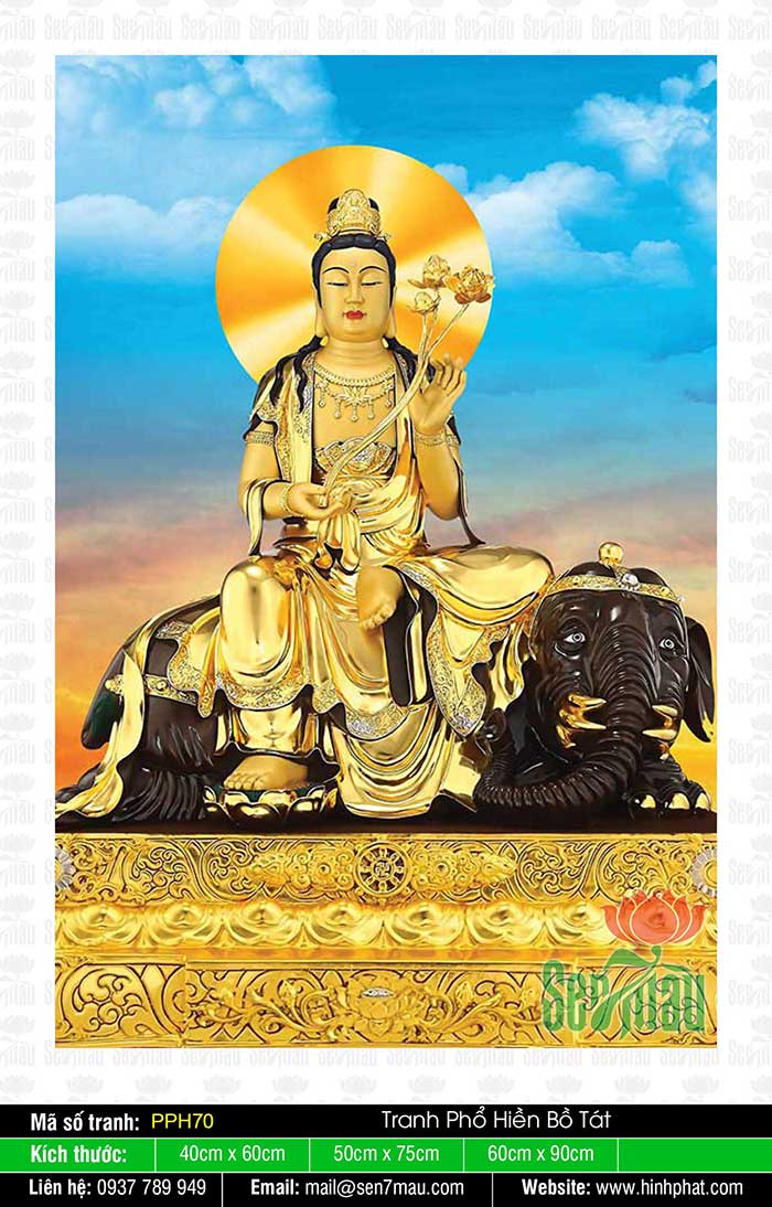 Tuyển tập hình Phổ Hiền Bồ Tát  Hình ảnh Phật đẹp nhất