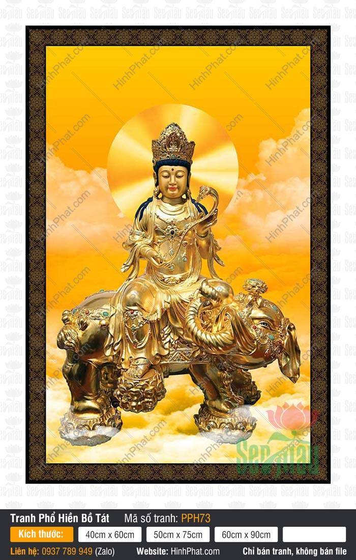Tranh Đức Phổ Hiền Bồ Tát PPH73 Tranh Đức Phổ Hiền Bồ Tát PPH73 tôn tượng vàng cầm gậy Như Ý cưỡi voi thần trên mây