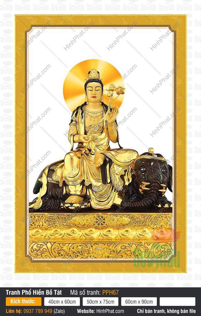 Tranh Phổ Hiền Bồ Tát Đẹp PPH67 Tranh Phổ Hiền Bồ Tát Đẹp PPH67 tôn tượng Ngài ngự voi đen cầm sen vàng trên nền trắng trang nghiêm