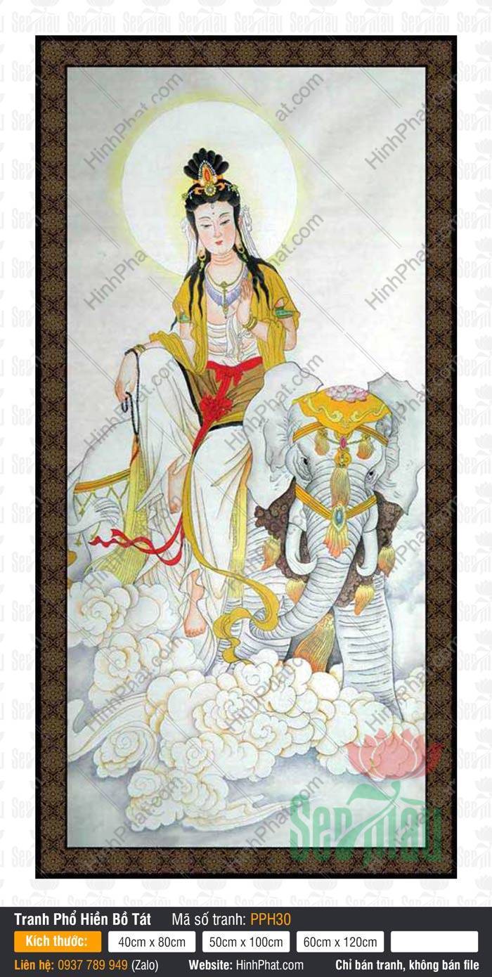 Hình Phổ Hiền Bồ Tát PPH30 Hình Phổ Hiền Bồ Tát PPH30 vẽ Ngài cưỡi bạch tượng giữa làn mây trắng thanh tịnh