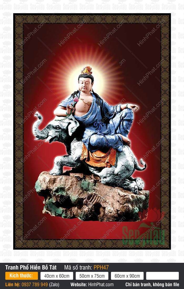 Tranh Phổ Hiền Bồ Tát PPH47 Hình Phổ Hiền Bồ Tát PPH47 cưỡi voi trắng sáu ngà tay cầm đóa sen hồng thanh tịnh