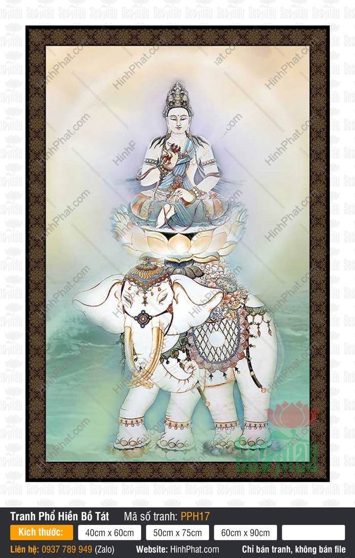 Phổ Hiền Bồ Tát PPH17 Tranh Phổ Hiền Bồ Tát PPH17 Ngài ngự đài sen lưng voi trắng trên nền cổ điển