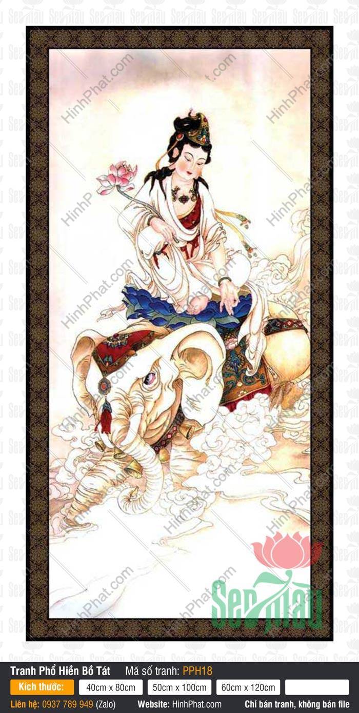 Phổ Hiền Bồ Tát Đẹp PPH18 Phổ Hiền Bồ Tát Đẹp PPH18 cầm nhành sen hồng ngồi tòa sen xanh trên linh thú voi trắng