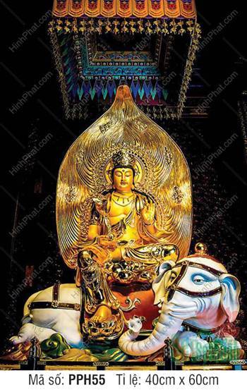 Đức Phổ Hiền Bồ Tát PPH55, tôn tượng vàng rực rỡ ngự tượng vương