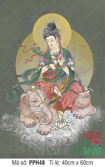 Phổ Hiền Bồ Tát PPH48, Ngài cầm gậy Như Ý ngự tòa sen