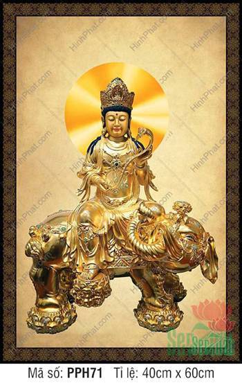 Tranh Bồ Tát Phổ Hiền Đẹp Nhất PPH71, tôn tượng vàng Như Ý