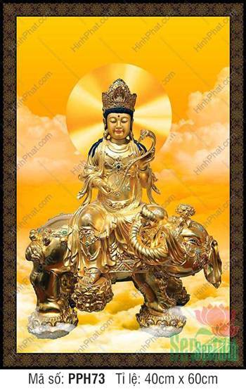 Tranh Đức Phổ Hiền Bồ Tát PPH73, tượng vàng cưỡi linh thú voi