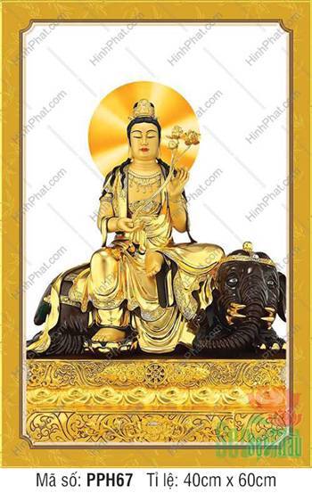Tranh Phổ Hiền Bồ Tát Đẹp PPH67, tôn tượng cầm nhành sen vàng