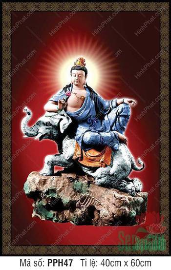 Tranh Phổ Hiền Bồ Tát PPH47, Ngài ngự tọa trên linh thú bạch tượng