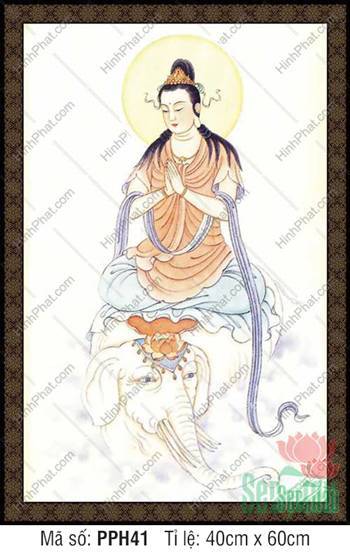 Phổ Hiền Bồ Tát PPH41, hình Ngài ngự voi trắng chắp tay thành kính