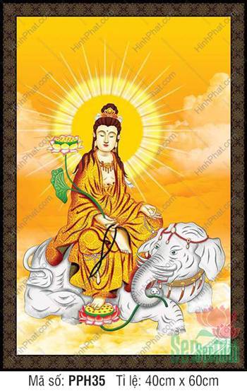 Tranh Phổ Hiền Bồ Tát PPH35, Bức họa Ngài cầm nhành sen xanh