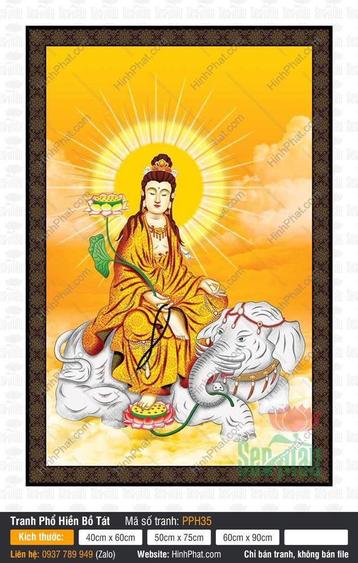 Tranh Phổ Hiền Bồ Tát PPH35 Tranh Phổ Hiền Bồ Tát PPH35 vẽ Ngài mặc y vàng cam cầm tràng hạt ngự voi trắng sáu ngà