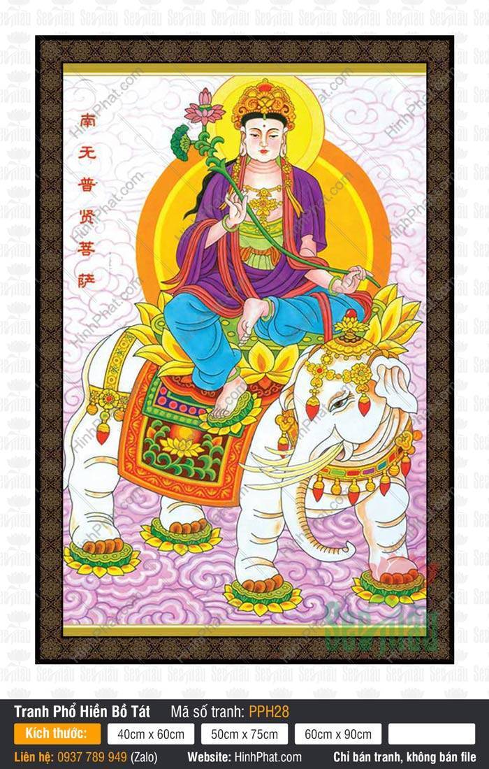 Tranh Phổ Hiền Bồ Tát Đẹp PPH28 Tranh Phổ Hiền Bồ Tát Đẹp PPH28 cầm hoa sen hồng ngự trên lưng voi trắng sáu ngà