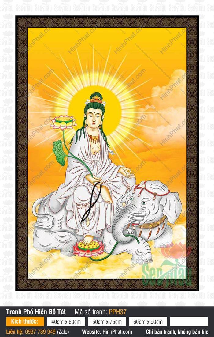 Tranh Phổ Hiền Bồ Tát Đẹp nhất PPH37 Tranh Phổ Hiền Bồ Tát Đẹp Nhất PPH37 mặc y phục trắng ngự trên lưng bạch tượng sáu ngà uy nghi