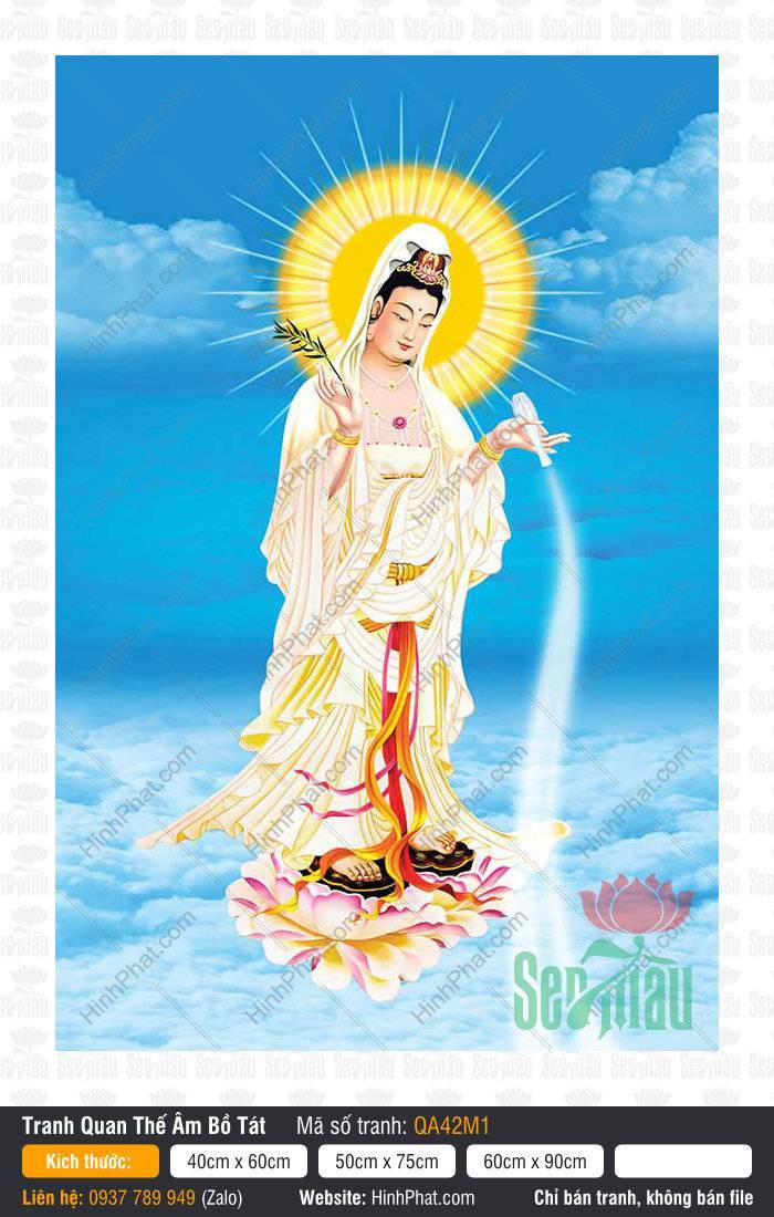 Hình Ảnh Quan Thế Âm Bồ Tát QA42M1 Hình Ảnh Quan Thế Âm Bồ Tát QA42M1 đứng trên đài sen rưới nước cam lộ giữa mây trời