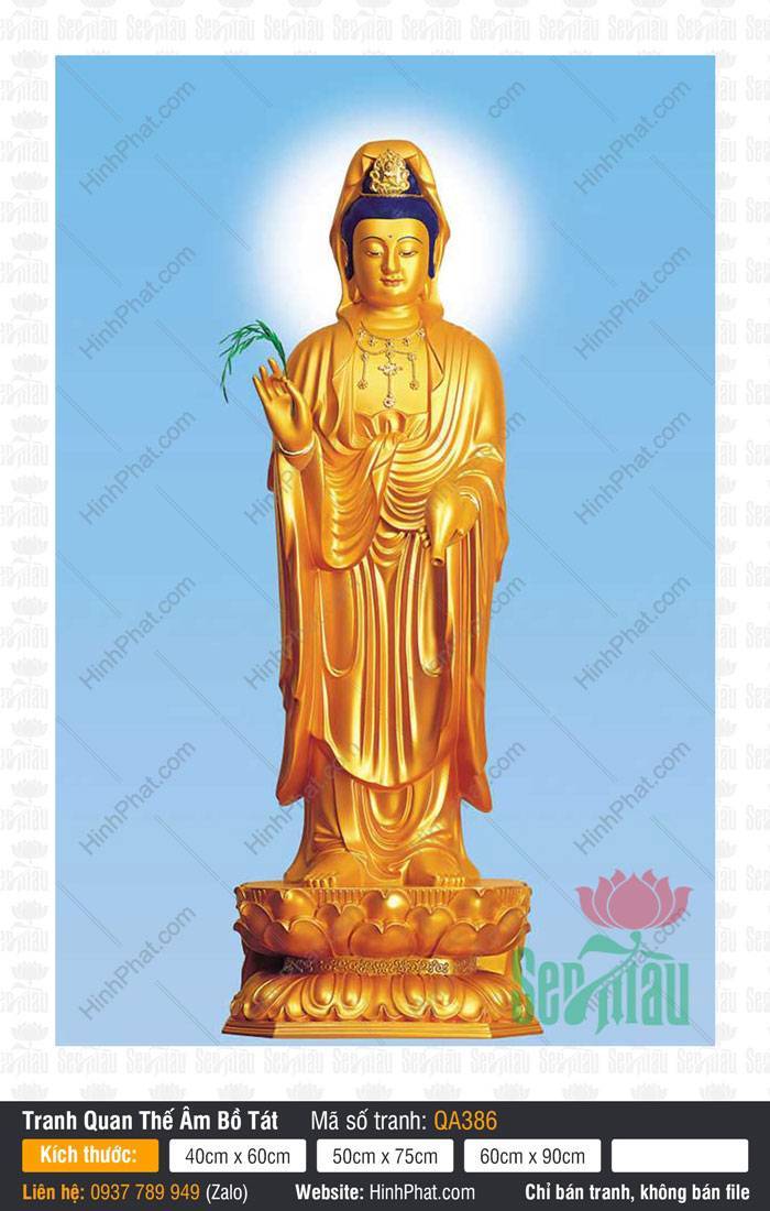 Hinh Quan Am Bo Tat Dep Nhat QA386 Hinh Quan Am Bo Tat Dep Nhat QA386 tôn tượng màu vàng đứng trên đài sen nền xanh