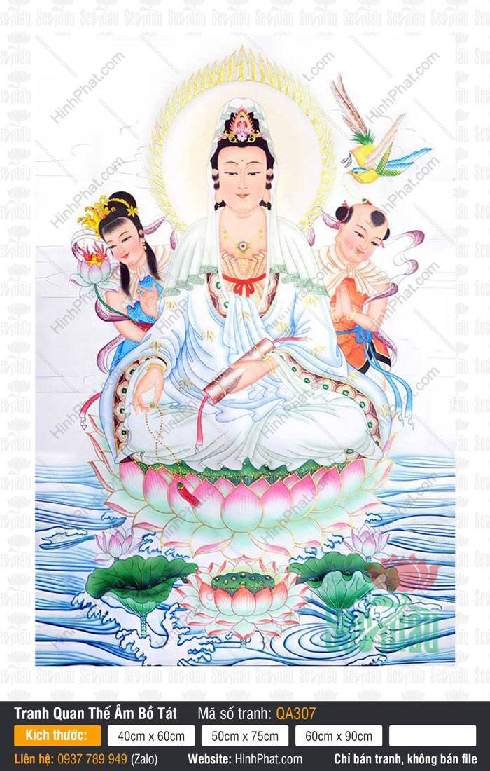Tôn Ảnh Quan Thế Âm QA307 Tôn Ảnh Quan Thế Âm QA307 an tọa đài sen hồng cầm cuộn kinh bên hai thị giả