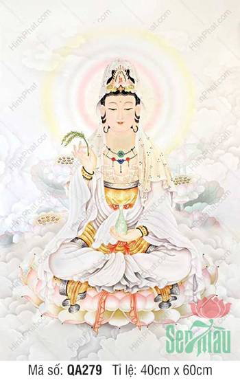 Hình Ảnh Phật Quan Âm Đẹp QA279, an tọa giữa mây sen