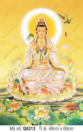 Tranh Quan Âm Bồ Tát QA313, tôn ảnh ngự sen vàng