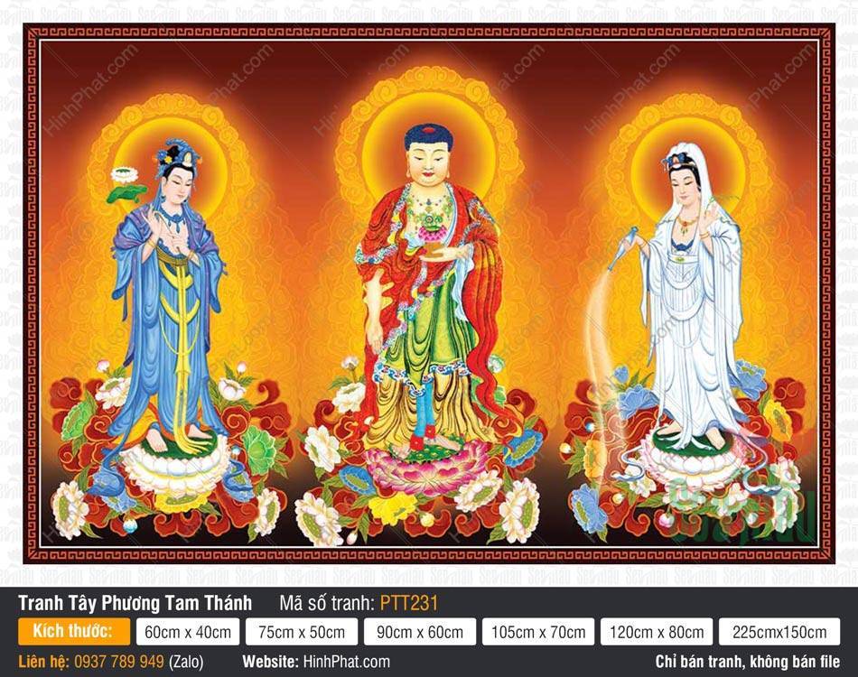 Ảnh Tây Phương Tam Thánh Khổ Lớn PTT231 Hình ảnh Ảnh Tây Phương Tam Thánh Khổ Lớn PTT231 mô tả ba đức Phật đứng trên đài sen rực rỡ