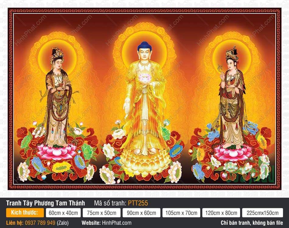 Ảnh Tây Phương Tam Thánh Khổ Lớn PTT255 Ảnh Tây Phương Tam Thánh Khổ Lớn PTT255 đứng trên tòa sen rực rỡ hào quang vàng kim