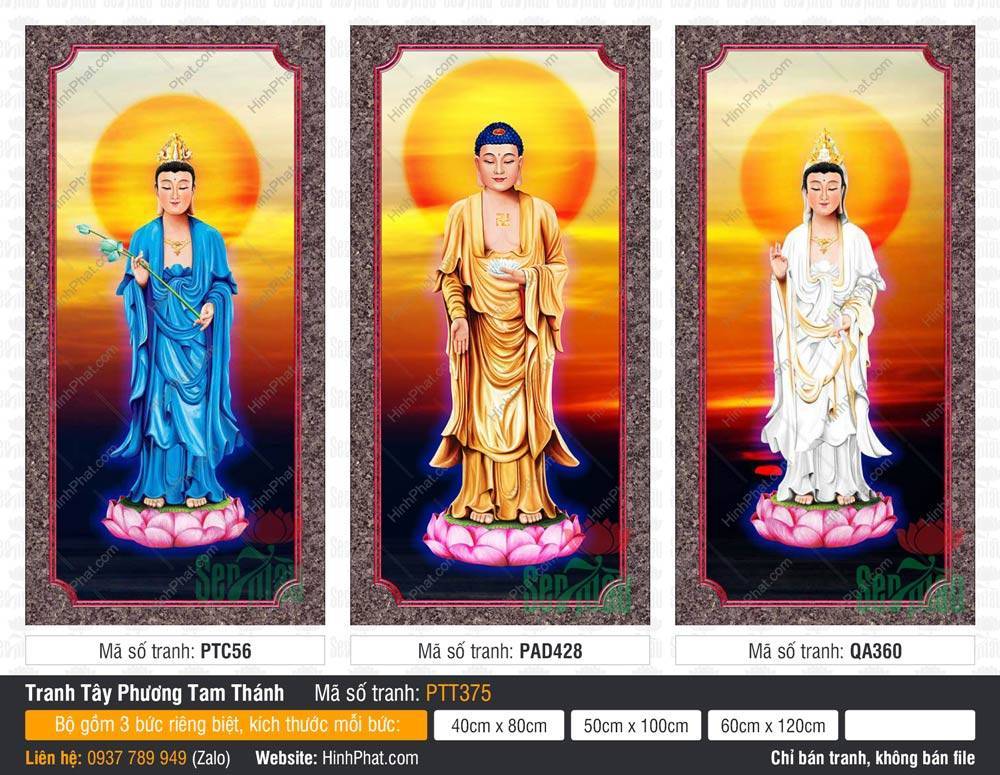 Ảnh Tây Phương Tam Thánh Khổ Lớn PTT375 Ảnh Tây Phương Tam Thánh Khổ Lớn PTT375 ba Ngài mặc y xanh trắng vàng đứng trên đài sen hồng