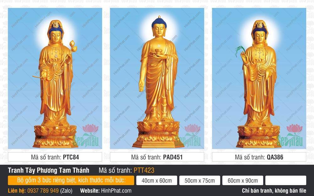 Ảnh Tây Phương Tam Thánh Khổ Lớn PTT423 Ảnh Tây Phương Tam Thánh Khổ Lớn PTT423 tôn tượng vàng đứng trên đài sen bát ngát