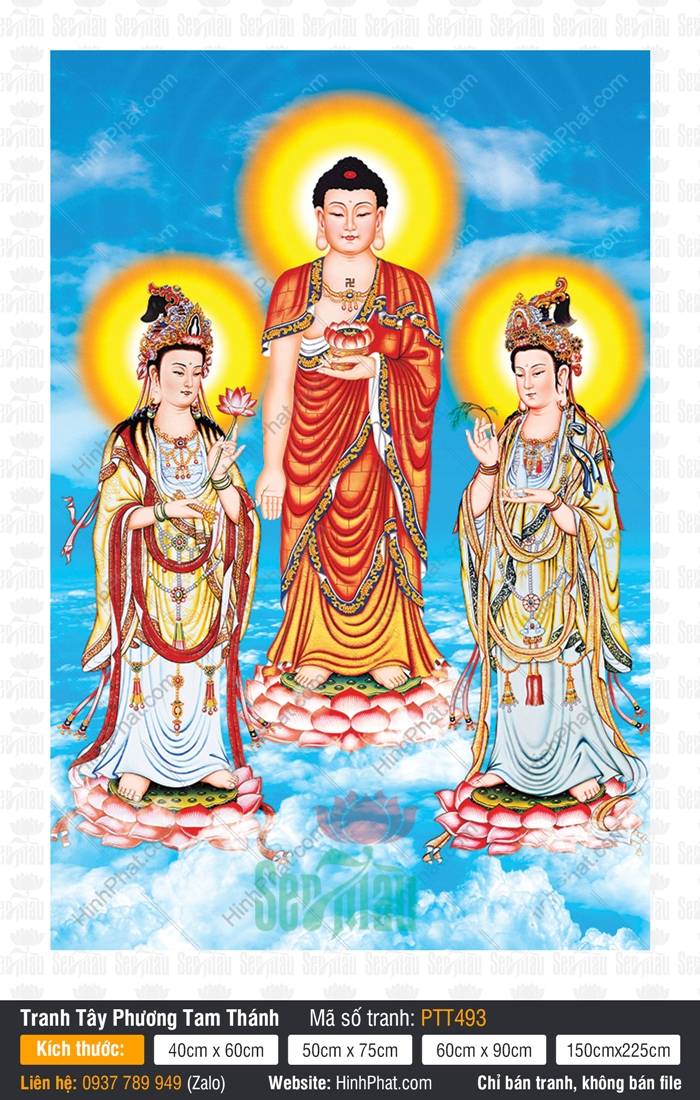Ảnh Tây Phương Tam Thánh Khổ Lớn PTT493, Ảnh Tây Phương Tam Thánh Tiếp Dẫn, Tranh Tây Phương Tam Thánh, Tây Phương Tam Thánh, In Tranh Phật Đẹp Ảnh Tây Phương Tam Thánh Khổ Lớn PTT493, Ảnh Tây Phương Tam Thánh Tiếp Dẫn, Tranh Tây Phương Tam Thánh, Tây Phương Tam Thánh, In Tranh Phật Đẹp