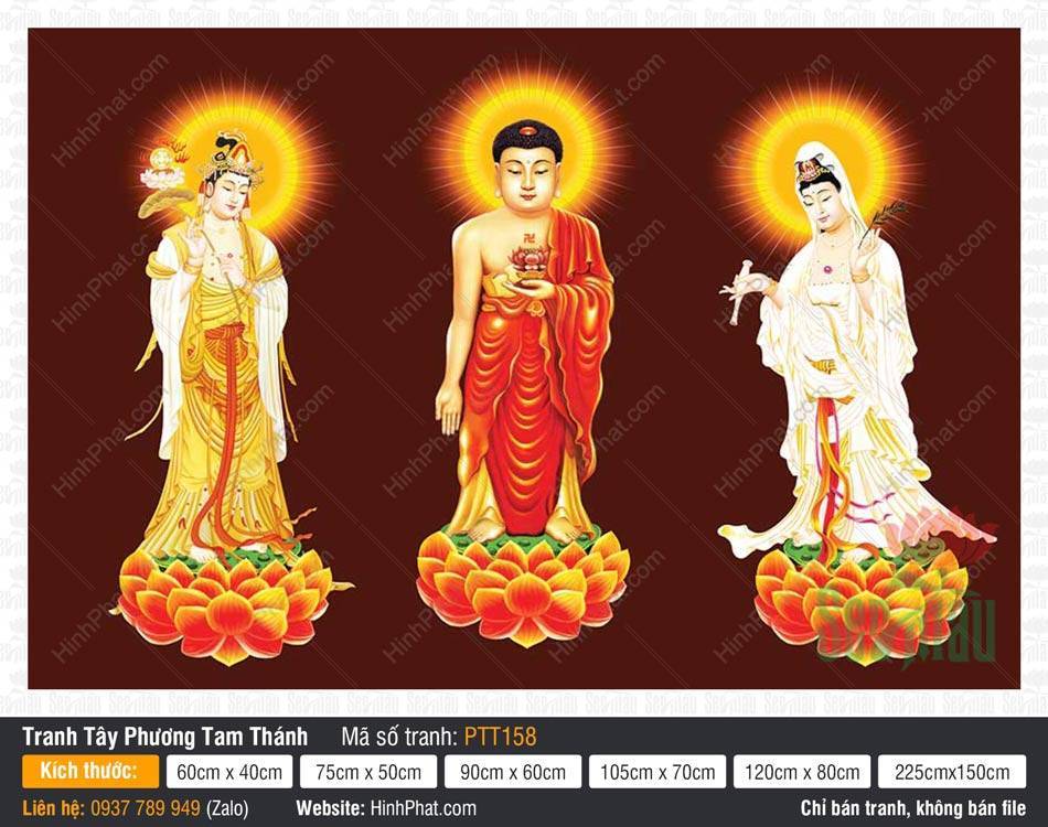 Ảnh Tây Phương Tam Thánh PTT158 Ảnh Tây Phương Tam Thánh PTT158 tôn tượng ba vị đứng trên đài sen hào quang rực rỡ
