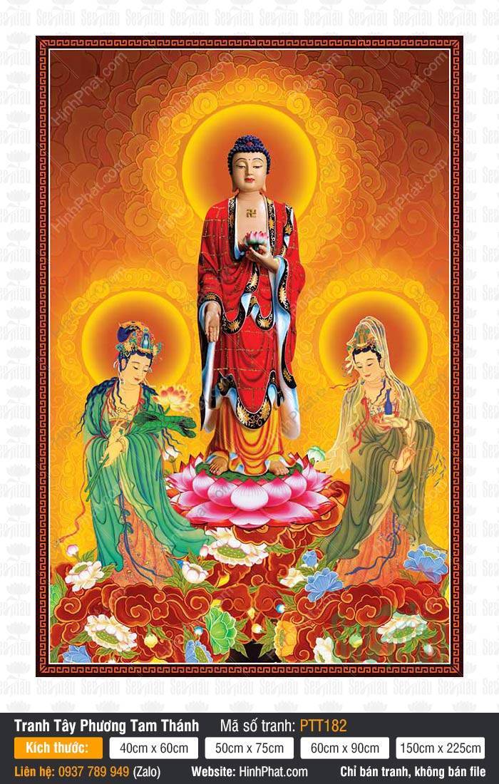 Ảnh Tây Phương Tam Thánh PTT182 Ảnh Tây Phương Tam Thánh PTT182, Tranh Phật Tây Phương Tam Thánh đứng trên đài sen hồng rực rỡ
