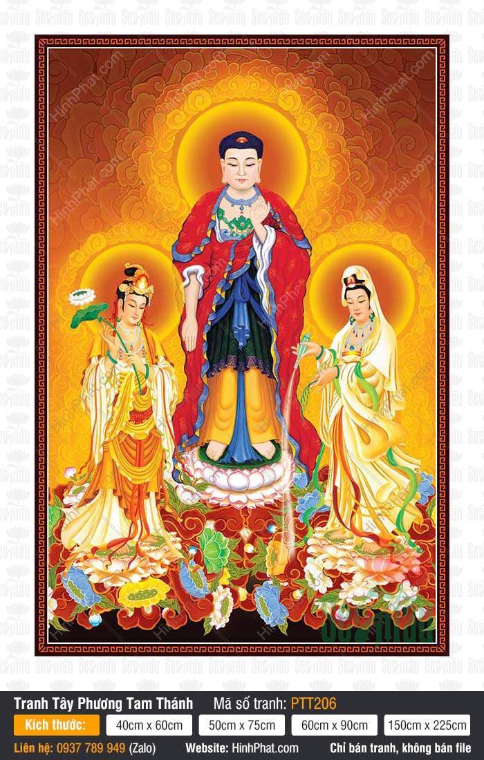 Ảnh Tây Phương Tam Thánh PTT206 Ảnh Tây Phương Tam Thánh PTT206 Đức Phật A Di Đà mặc y đỏ đứng giữa hai vị Bồ Tát