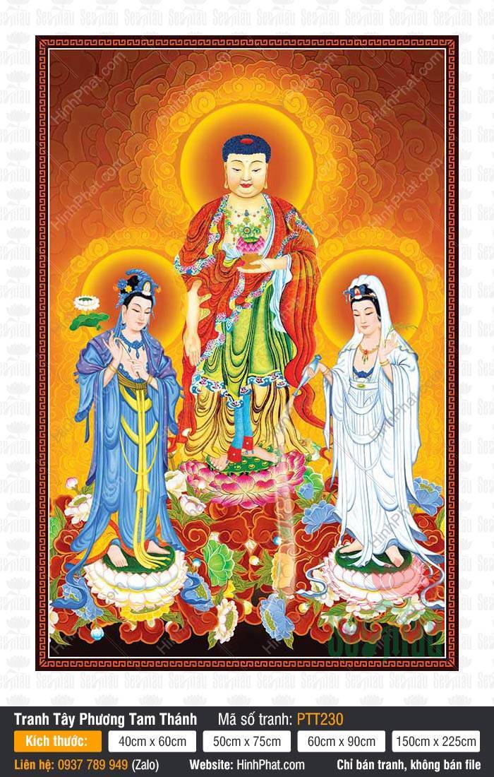 Ảnh Tây Phương Tam Thánh PTT230 Ảnh Tây Phương Tam Thánh PTT230 Đức Phật áo đỏ cùng Bồ Tát y phục xanh trắng ngự đài sen