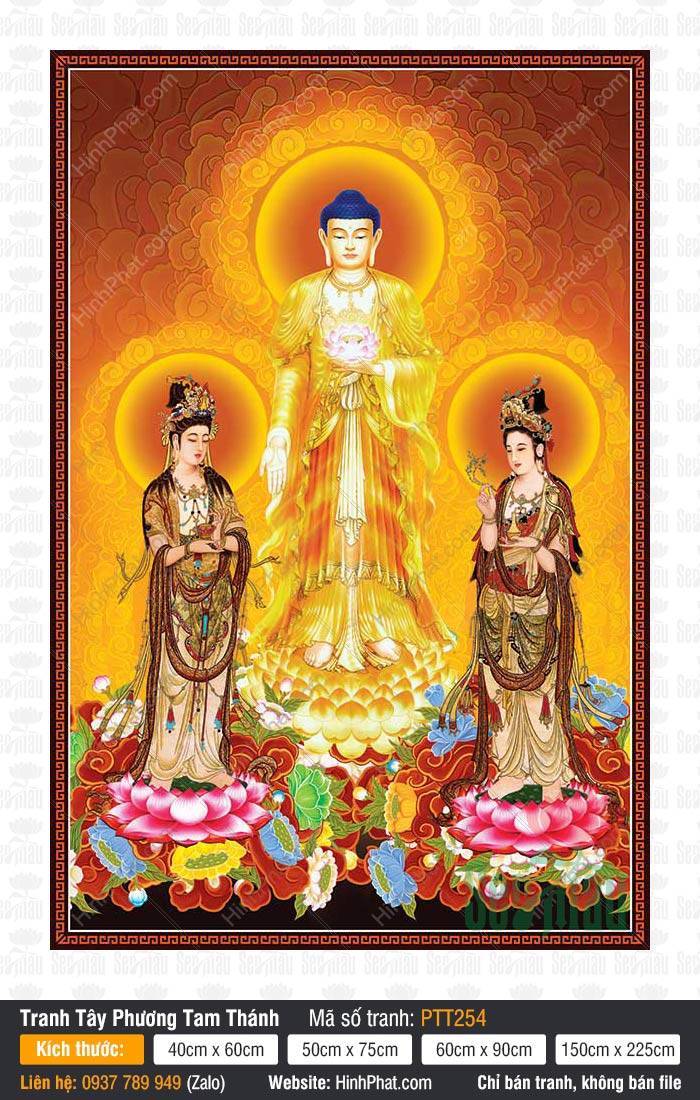 Ảnh Tây Phương Tam Thánh PTT254 Ảnh Tây Phương Tam Thánh PTT254 Đức Phật A Di Đà cùng hai Bồ Tát đứng tòa sen