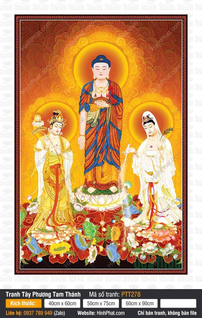 Ảnh Tây Phương Tam Thánh PTT278 Ảnh Tây Phương Tam Thánh PTT278 mô tả Ba Ngài đứng trang nghiêm giữa hào quang vàng rực rỡ