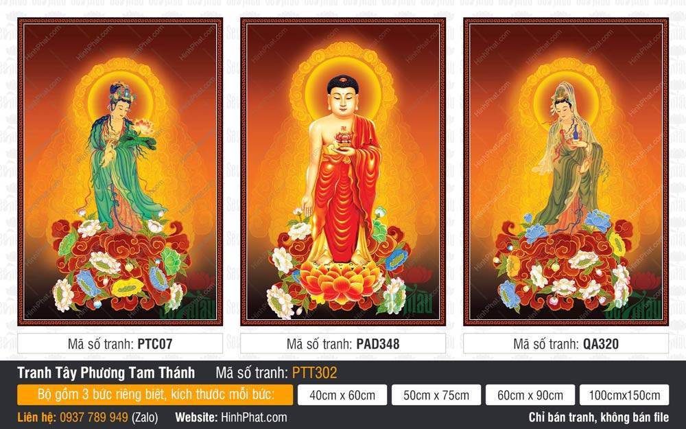 Ảnh Tây Phương Tam Thánh PTT302 Ảnh Tây Phương Tam Thánh PTT302 tôn tượng Đức Phật và hai vị Bồ Tát đứng trên đài sen vàng