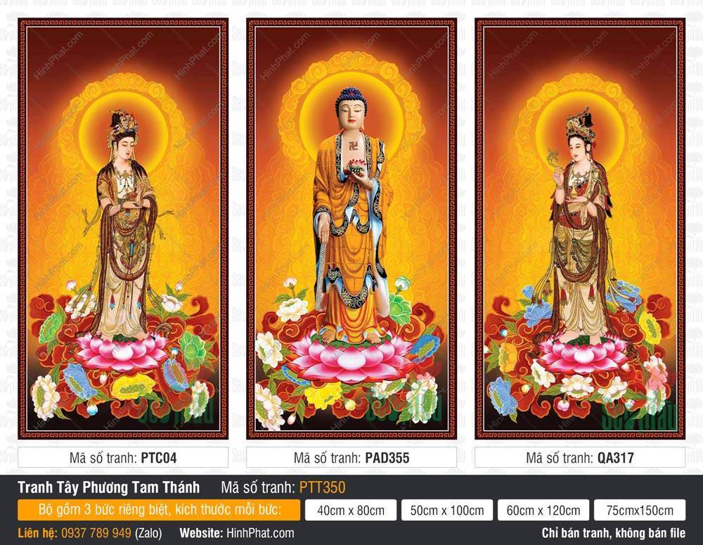 Ảnh Tây Phương Tam Thánh PTT350 Ảnh Tây Phương Tam Thánh PTT350, Ba Ngài mặc y vàng đứng trên đài sen hồng rực rỡ
