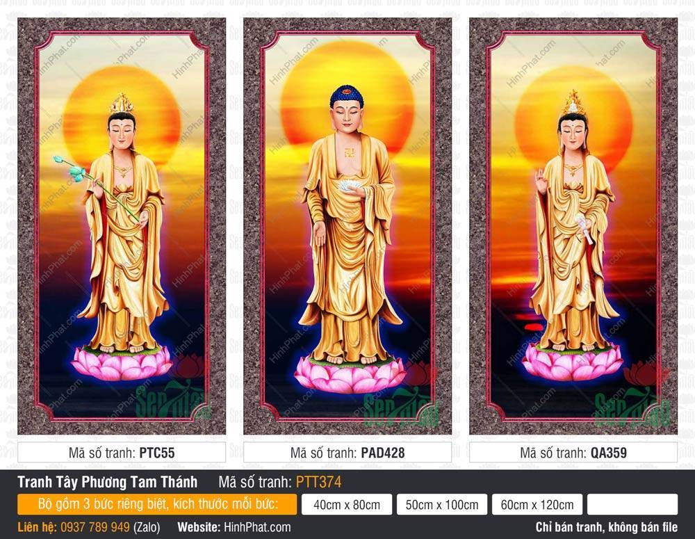 Ảnh Tây Phương Tam Thánh PTT374 Ảnh Tây Phương Tam Thánh PTT374 ba vị Phật áo vàng kim đứng trên đài sen hồng rực rỡ