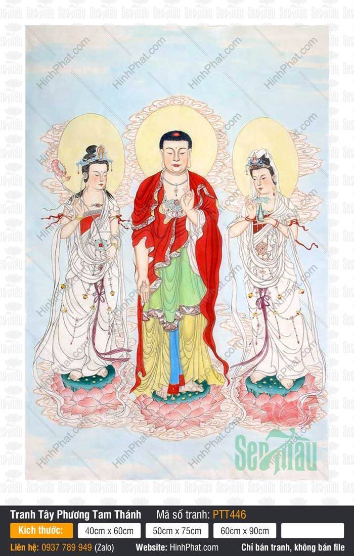 Ảnh Tây Phương Tam Thánh PTT446 Ảnh Tây Phương Tam Thánh PTT446 minh họa ba vị đứng trang nghiêm trên đài sen hồng rực rỡ