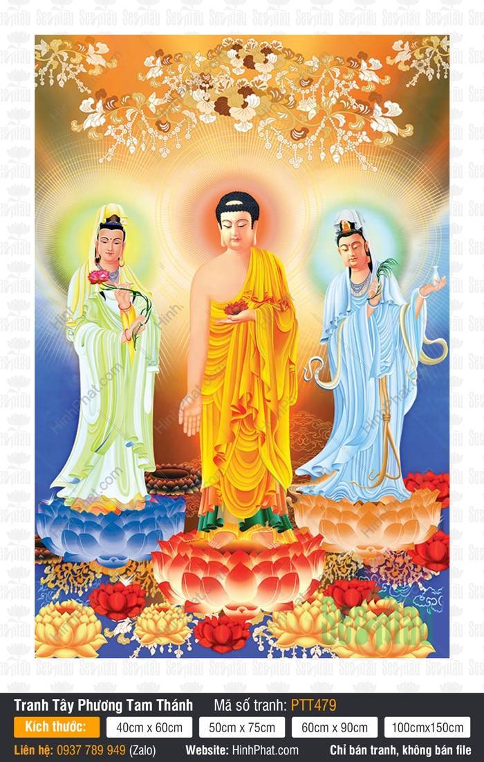 Ảnh Tây Phương Tam Thánh PTT479 Ảnh Tây Phương Tam Thánh PTT479 Đức Phật A Di Đà và hai vị Bồ Tát ngự đài sen