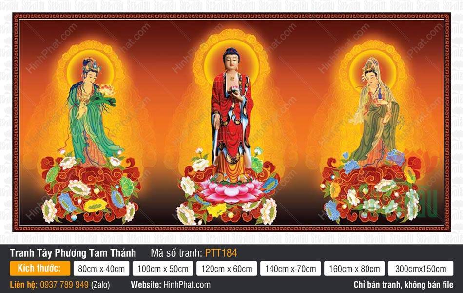 Bộ Hình Ảnh Đẹp Về Tây Phương Tam Thánh PTT184 Bộ Hình Ảnh Đẹp Về Tây Phương Tam Thánh PTT184 mô tả ba vị Phật đứng trên tòa sen giữa hào quang vàng.