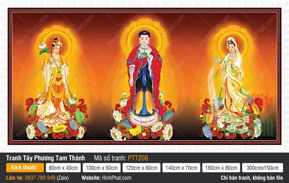Bộ Hình Ảnh Đẹp Về Tây Phương Tam Thánh PTT208 Bộ Hình Ảnh Đẹp Về Tây Phương Tam Thánh PTT208 mô tả ba vị tôn túc đứng đài sen hồng