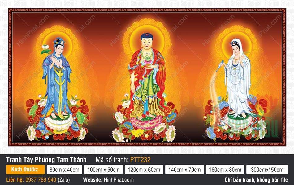 Bộ Hình Ảnh Đẹp Về Tây Phương Tam Thánh PTT232 Bộ Hình Ảnh Đẹp Về Tây Phương Tam Thánh PTT232 Ba Ngài đứng trên đài sen rực rỡ