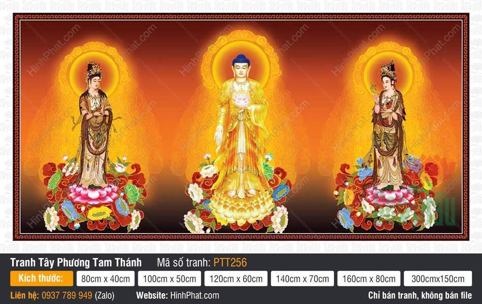 Bộ Hình Ảnh Đẹp Về Tây Phương Tam Thánh PTT256 Bộ Hình Ảnh Đẹp Về Tây Phương Tam Thánh PTT256 khắc họa ba đức Phật đứng uy nghiêm trên đài sen.