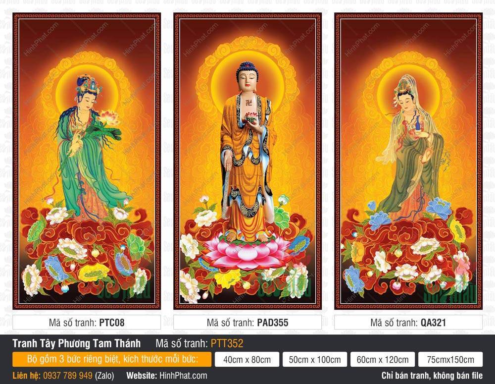 Bộ Hình Ảnh Đẹp Về Tây Phương Tam Thánh PTT352 Bộ Hình Ảnh Đẹp Về Tây Phương Tam Thánh PTT352 ba bức đứng đài sen vàng rực rỡ