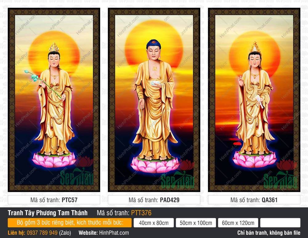 Bộ Hình Ảnh Đẹp Về Tây Phương Tam Thánh PTT376 Bộ Hình Ảnh Đẹp Về Tây Phương Tam Thánh PTT376 tả ba Đức Phật mặc y vàng đứng đài sen.