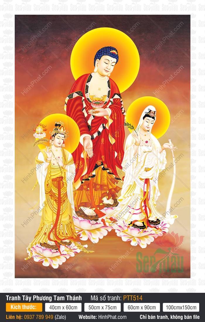 Bộ Tây Phương Tam Thánh PTT514 Bộ Tây Phương Tam Thánh PTT514 Ba Ngài đứng trên đài sen hồng rực rỡ nền vàng ấm