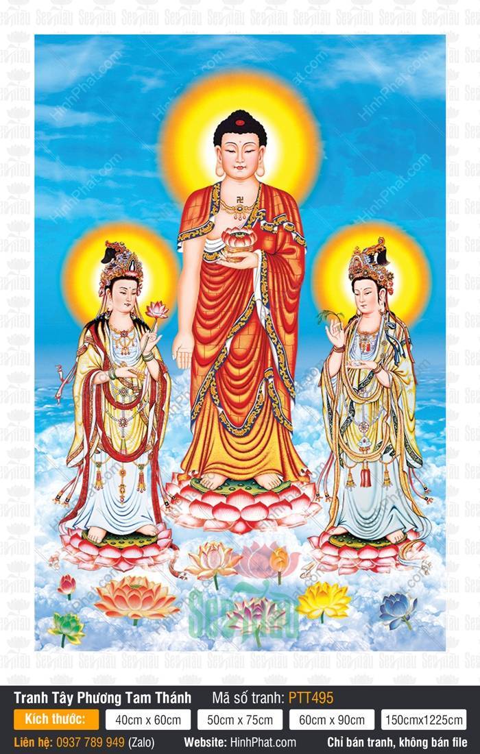 Hình Ảnh Tây Phương Tam Thánh Đẹp PTT495 Hình Ảnh Tây Phương Tam Thánh PTT495 ba vị Phật đứng trên đài sen giữa trời xanh mây trắng
