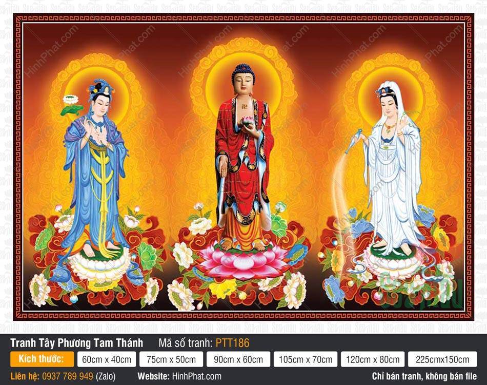 Hình Tây Phương Tam Thánh A Di Đà Phật PTT186 Hình Tây Phương Tam Thánh A Di Đà Phật PTT186 ba vị đứng trên đài sen sắc màu