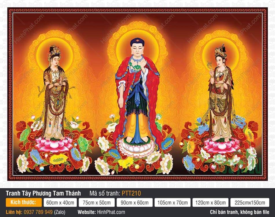 Hình Tây Phương Tam Thánh A Di Đà Phật PTT210 Hình Tây Phương Tam Thánh A Di Đà Phật PTT210 với Đức Phật A Di Đà y đỏ rực
