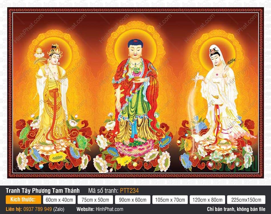 Hình Tây Phương Tam Thánh A Di Đà Phật PTT234 Hình ảnh Hình Tây Phương Tam Thánh A Di Đà Phật PTT234 với ba vị Phật đứng trên đài sen rực rỡ